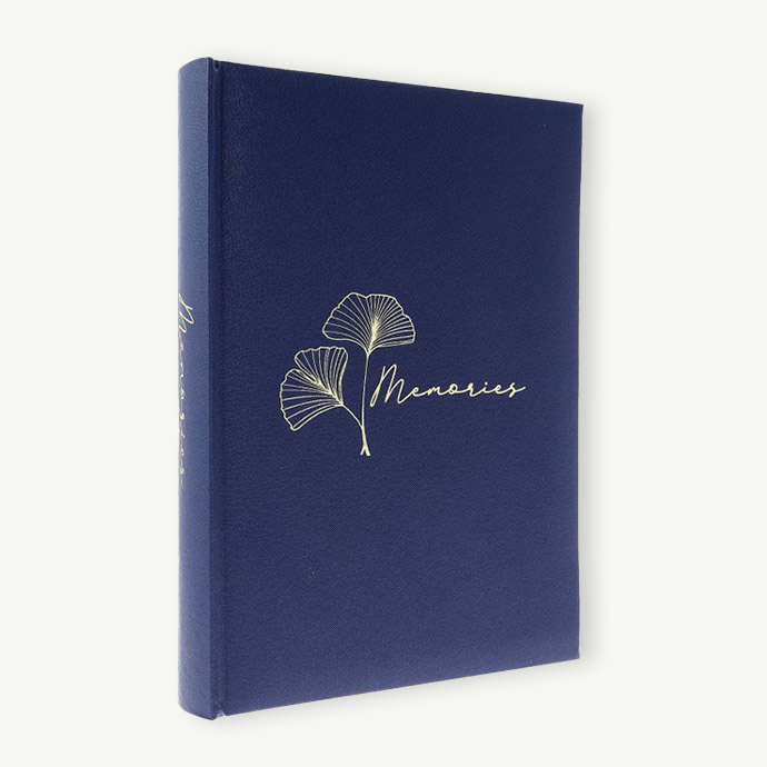 Album Art Timeless Memories Blue