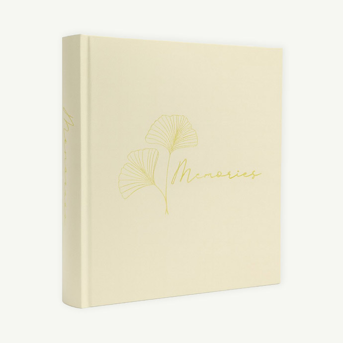 Album Art Timeless Memories Cream