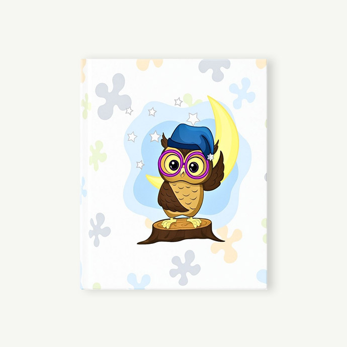 Album Baby Owl Blue